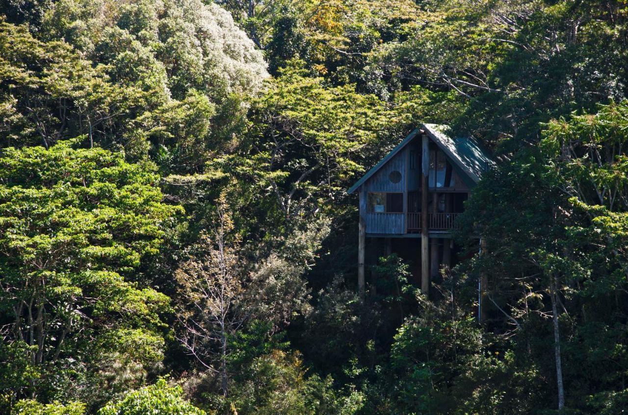 فيلا Rose Gums Wilderness Retreat Butchers Creek المظهر الخارجي الصورة