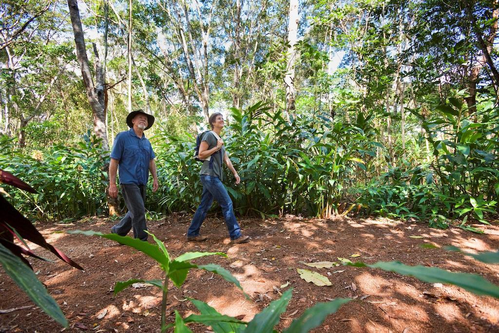 فيلا Rose Gums Wilderness Retreat Butchers Creek المظهر الخارجي الصورة