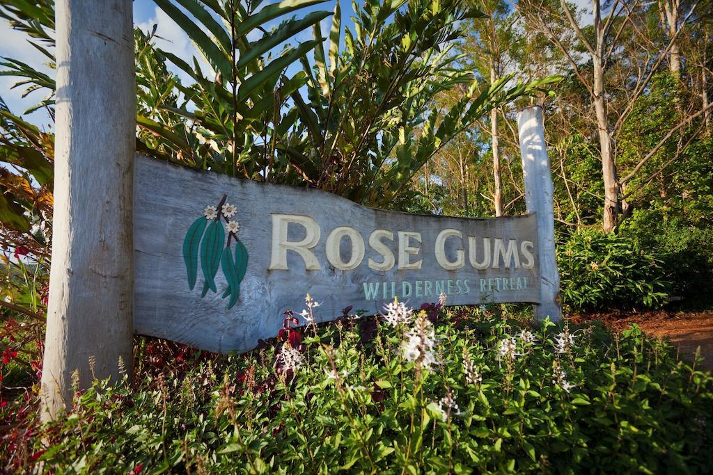 فيلا Rose Gums Wilderness Retreat Butchers Creek المظهر الخارجي الصورة